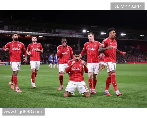 聚焦瑞士拜仁足球球星成长之路与赛场辉煌瞬间 聚焦瑞士拜仁足球球星成长之路与赛场辉煌瞬间